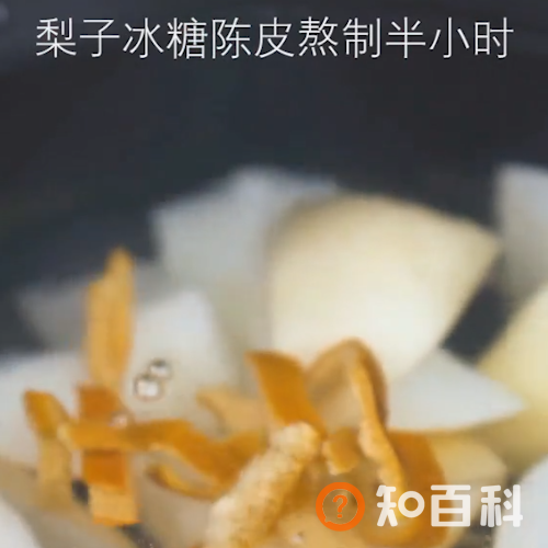 陈皮梨汤做法大全