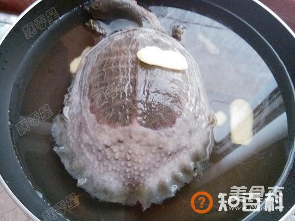 清炖甲鱼汤做法大全