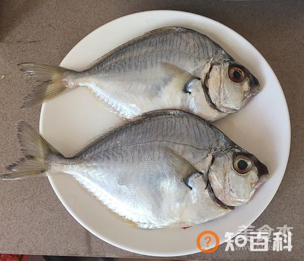 酱烧鲳鱼做法大全