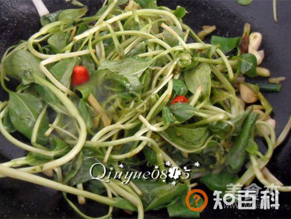酱香鸡毛菜做法大全