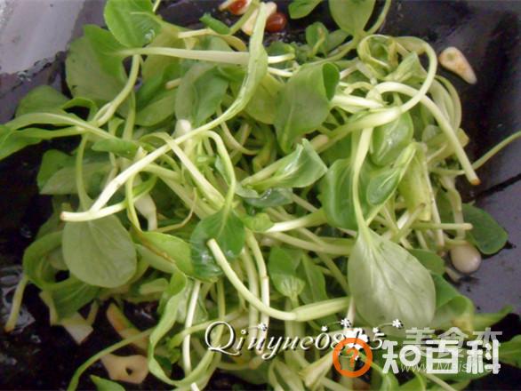 酱香鸡毛菜做法大全