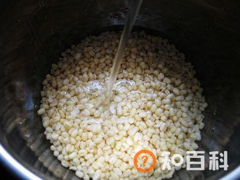 绿豆沙糕做法大全