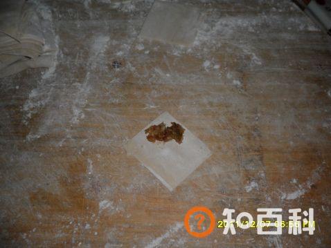 猪肉萝卜馄饨做法大全