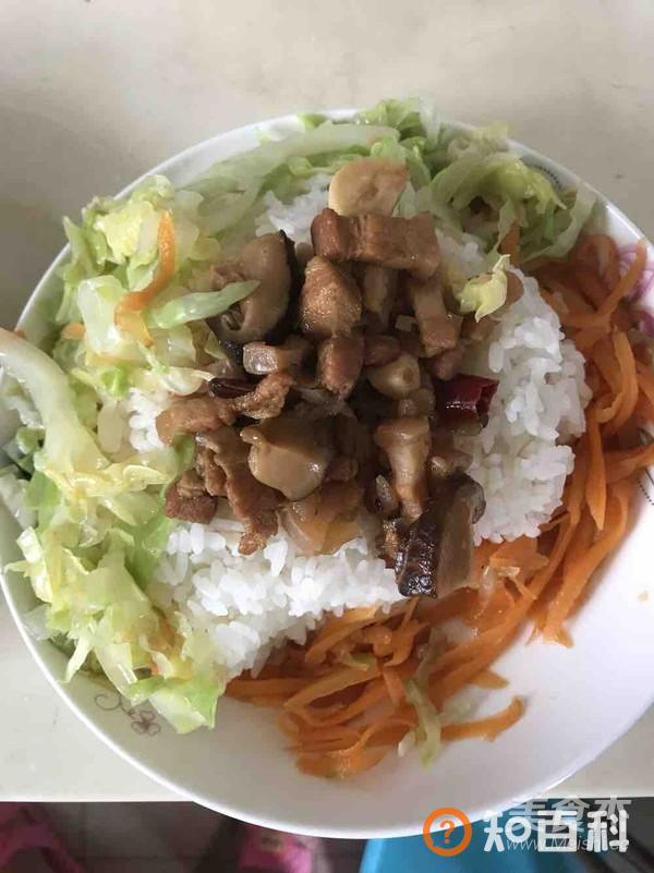献给爱吃卤肉饭的筒子们做法大全