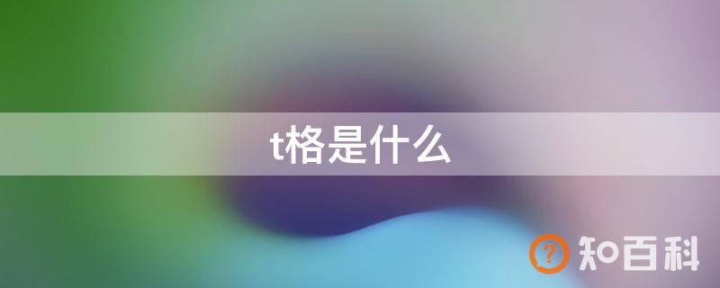 t格是什么
