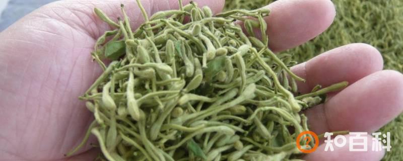 金银花要暴晒还是阴干
