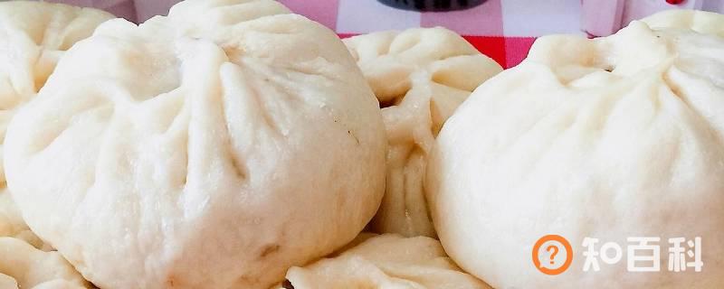 做肉包子怎么发面