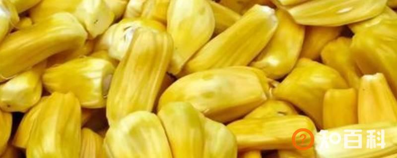 菠萝蜜核外面的一层皮可以吃吗