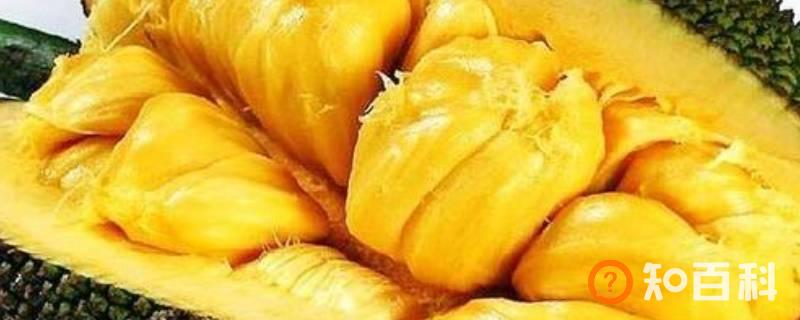 菠萝蜜生的能放熟吗