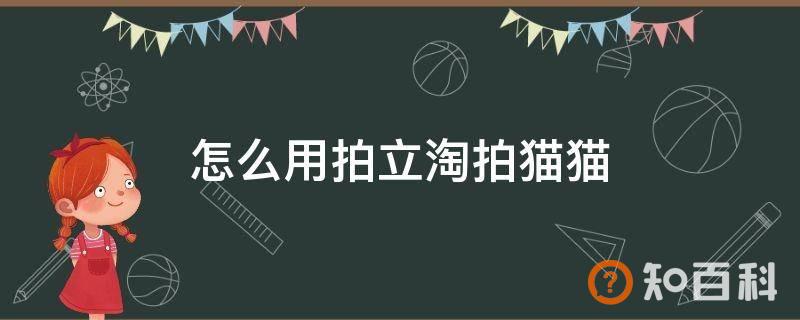 怎么用拍立淘拍猫猫