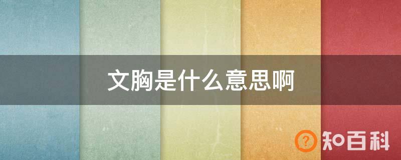 文胸是什么意思啊