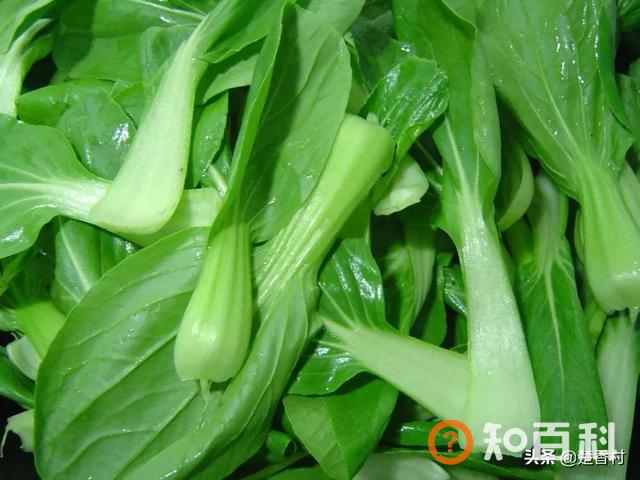白灼生菜的做法,炒青菜怎么做更翠绿漂亮？