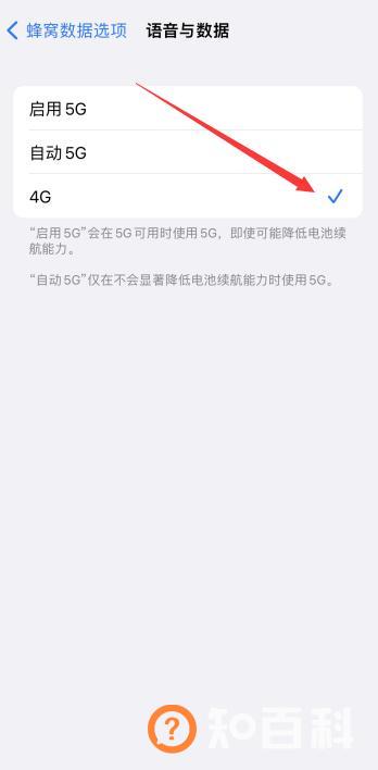 iphone关闭5g开关