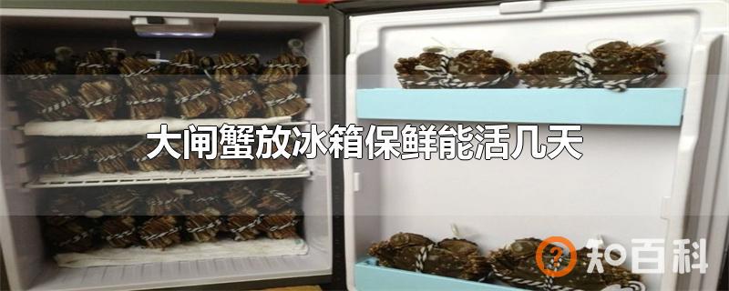 大闸蟹放冰箱保鲜能活几天