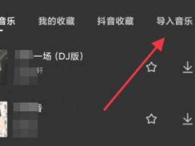 剪映网易云音乐无法导入