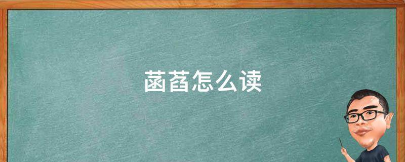 菡萏怎么读