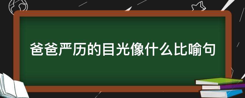 爸爸严历的目光像什么比喻句