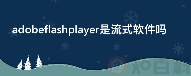 adobeflashplayer是流式软件吗