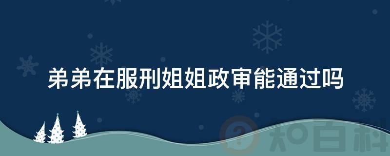 弟弟在服刑姐姐政审能通过吗