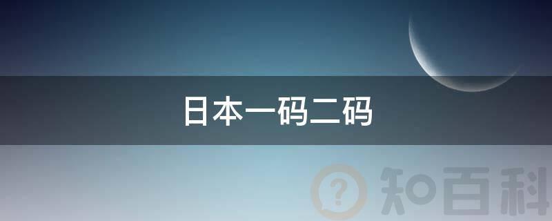 日本一码二码