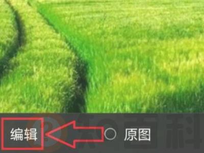 微信发图片怎么添加文字