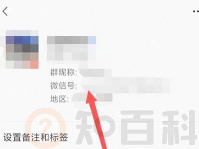 微信群里怎么看陌生人微信号