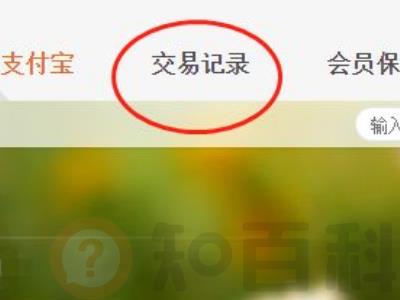 支付宝消费记录删除了还能查到吗